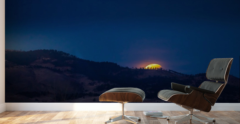 Moonset Wall Murals