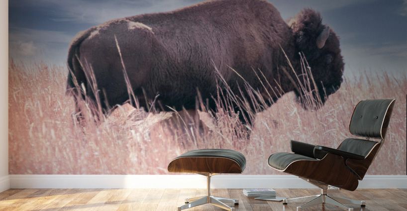 Belly Scratches Impression murale