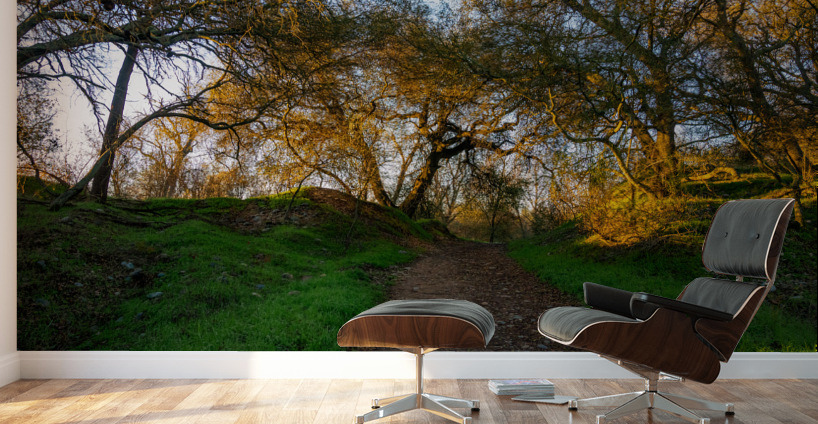 Up the Trail Wall Murals