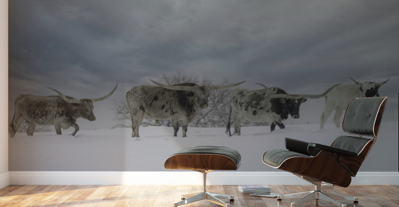 Longhorns Wall Murals