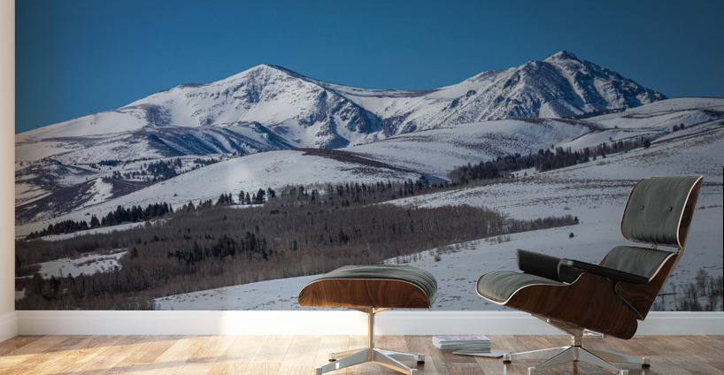 801A4666 Wall Murals