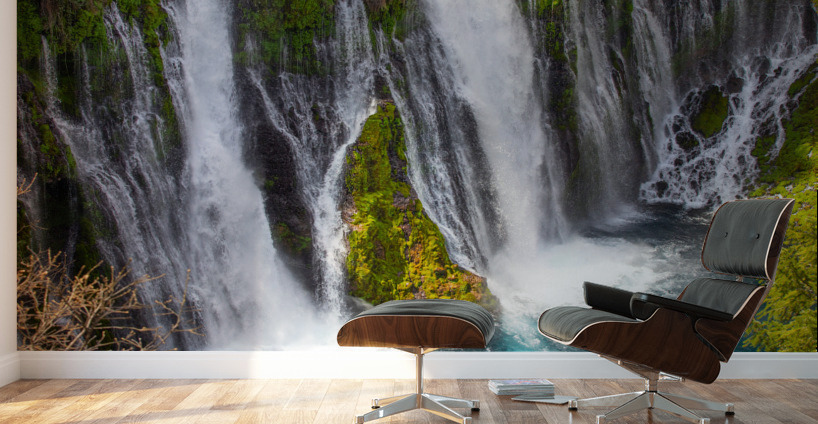 Burney Falls Pool Wall Murals