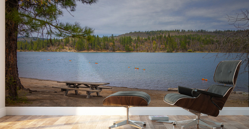 Lake Britton Swimming Area Wall Murals
