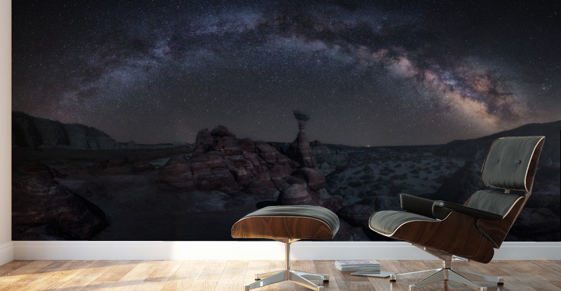 Toadstool Night Wall Murals