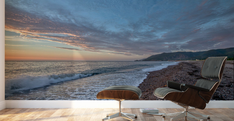 Eye Candy Wall Murals