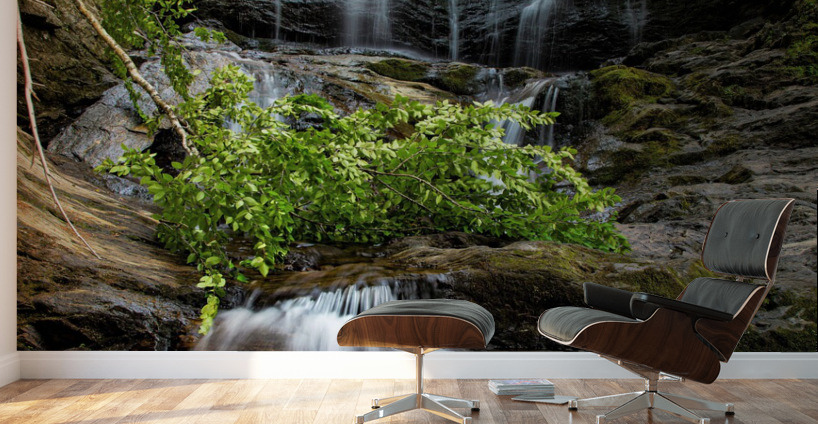 Moss Glen Stowe Vermont Summer  Wall Murals