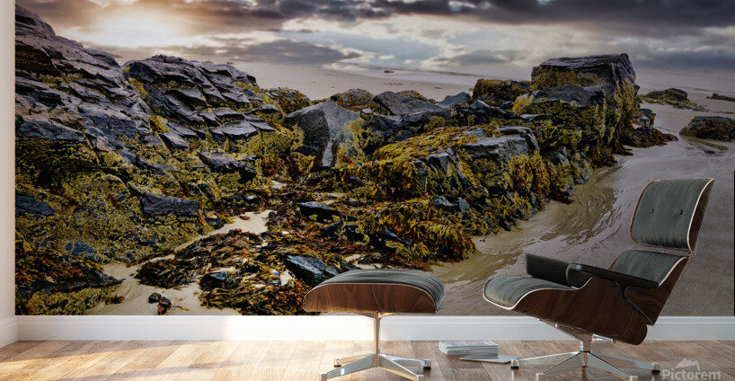 Rebirth of the Soul at Ogunquit Maine  Wall Murals