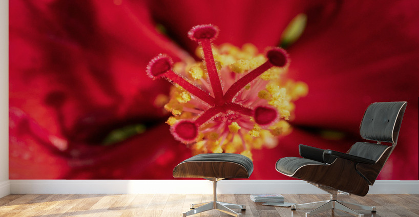 Pistil et pollen Wall Murals