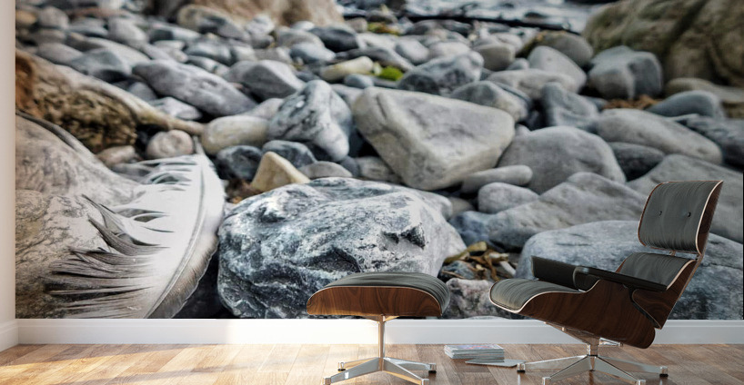 Rocky Shores Wall Murals