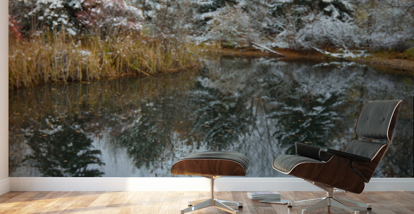 Fresh Snow and Pond Reflections Wall Murals
