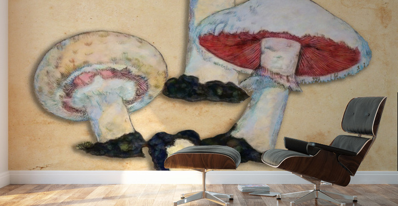 Agaricus Campestris Wall Murals