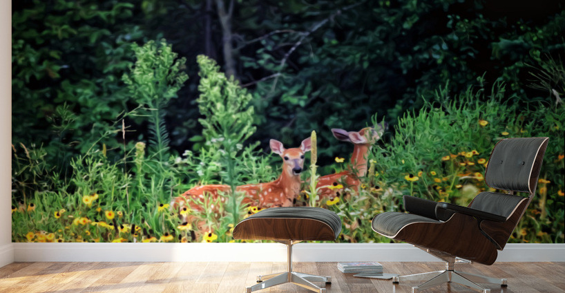 Fawna Flora Wall Murals