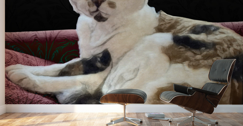 Cheesecake Wall Murals