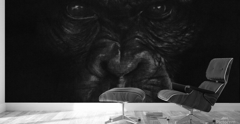 The King Ape Wall Murals