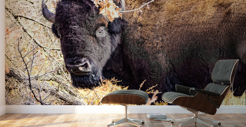 Into the Woods I Go Wall Murals