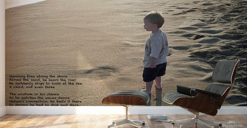 Boy on the Sand Wall Murals