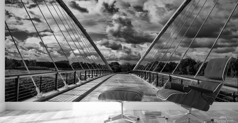 DSC 8097 20x30 Wall Murals