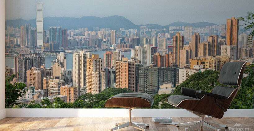 Hong Kong in the Evening Wall Murals
