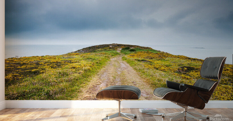 Empty path with yellow flowers Wall Murals