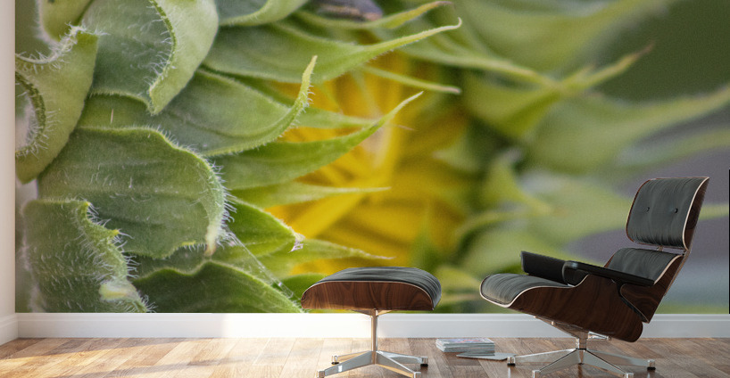 Turning Toward The Promise Impression murale