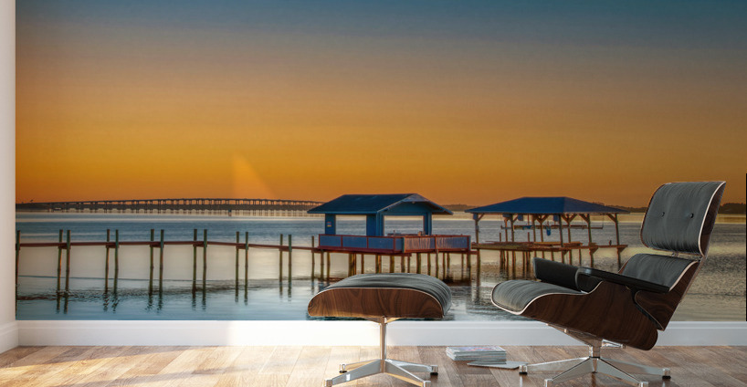 INDIAN RIVER LOGOON Wall Murals