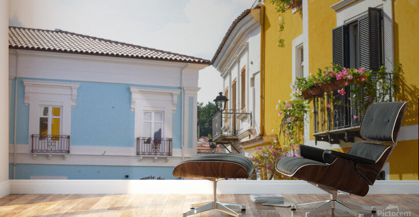 DSC 0441 Wall Murals