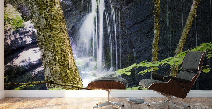 Bear Den Campground Waterfall VERTICAL Wall Murals