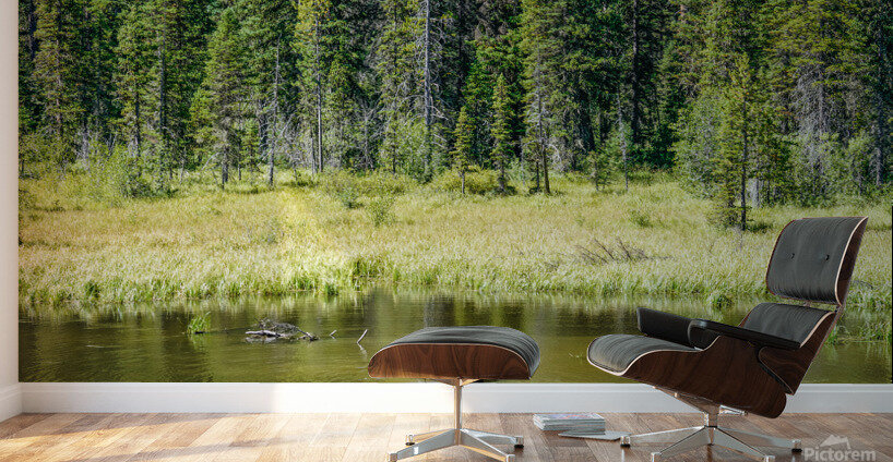 Summer Dip Wall Murals