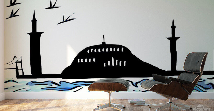Istanbul during the Day Wall Murals