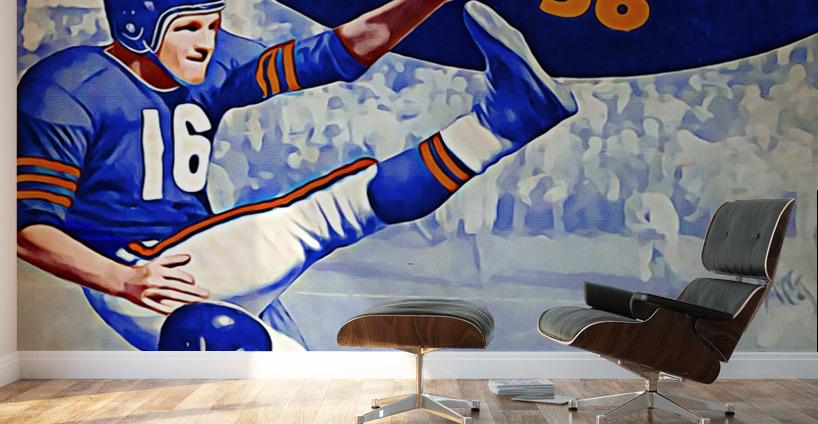 1956 Chicago Bears Football Art Wall Murals