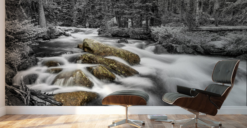 Roosevelt National Forest Stream BW Selective Wall Murals