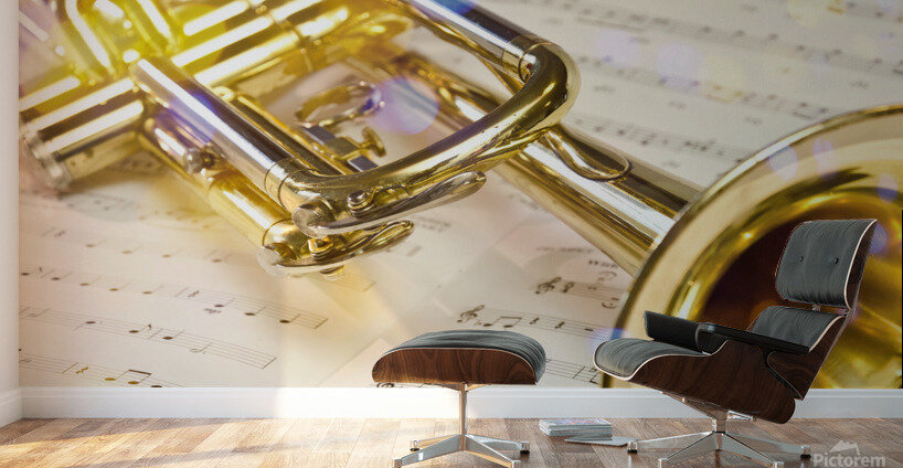 Trumpet Wall Murals