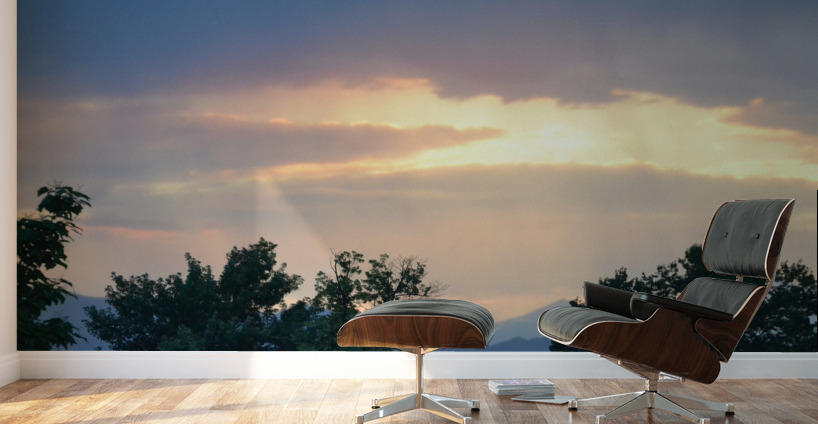 Sun breaking out of the trees to the heaven’s  Wall Murals