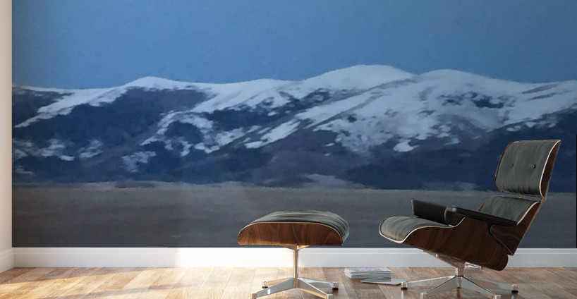 9B86A96C CBE0 4934 BA57 5571767FA435 Wall Murals