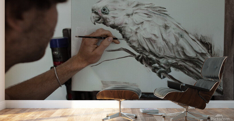 Bird Wall Murals
