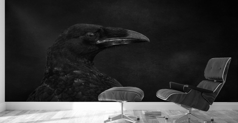 Young_and_black Wall Murals