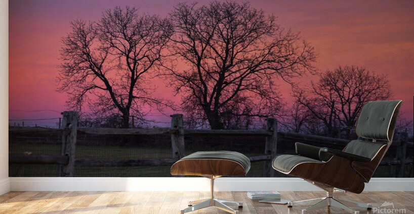 18 Morning Sunrise on the Farm Wall Murals
