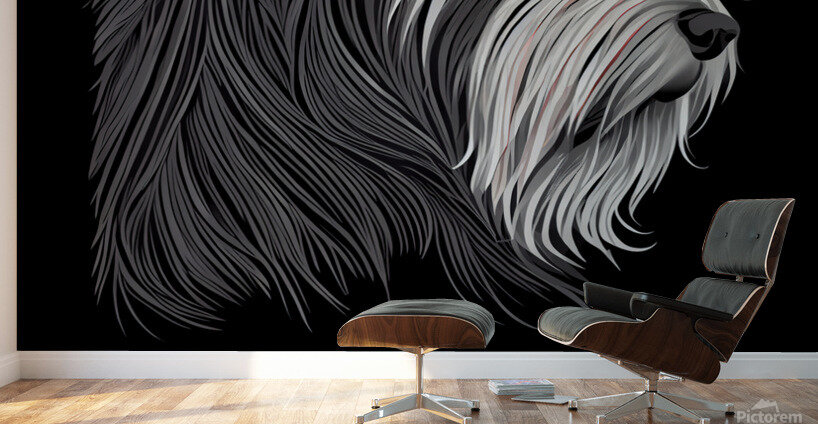 Bearded Collie Portrait Wall Murals
