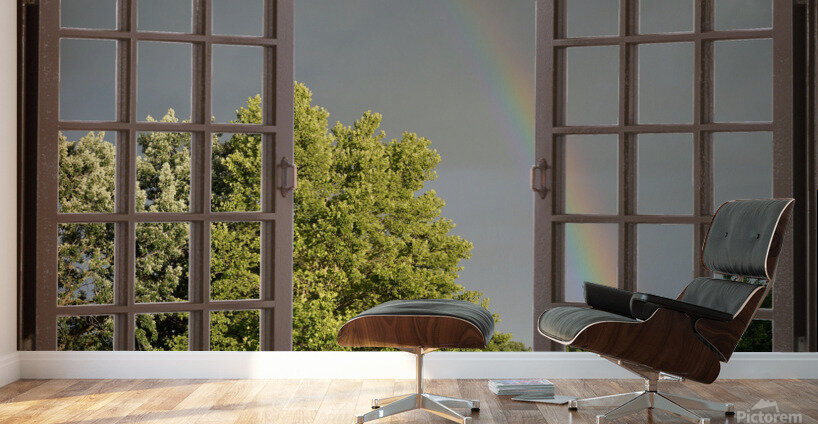 Summer Rainbow Over Trees Wall Murals