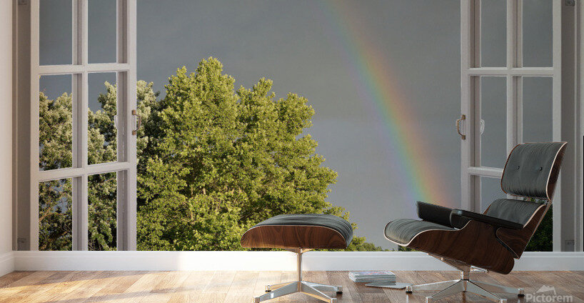 Summer Rainbow Over Trees Wall Murals