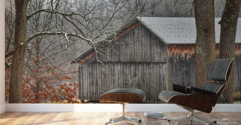 19 An Early Winter Day  Wall Murals