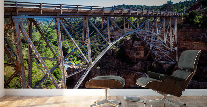 Grand Canyon Bridge   AZ 8187 Wall Murals