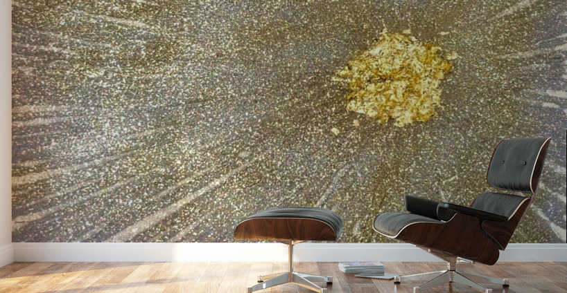 Golden Starburst  Wall Murals