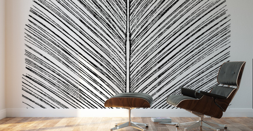 Feather Wall Murals