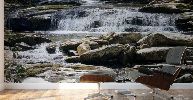 Waterfall Wall Murals