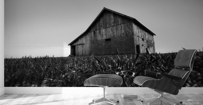 Country structure Wall Murals