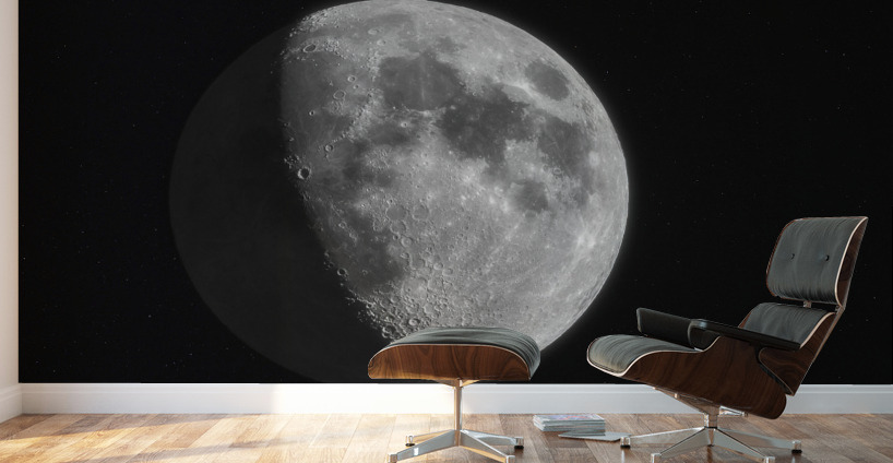 The Moon Wall Murals