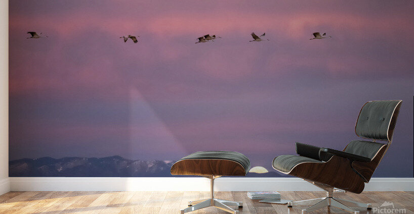 DSC 2671 edit cropped noise reduced healed 16x24. Wall Murals