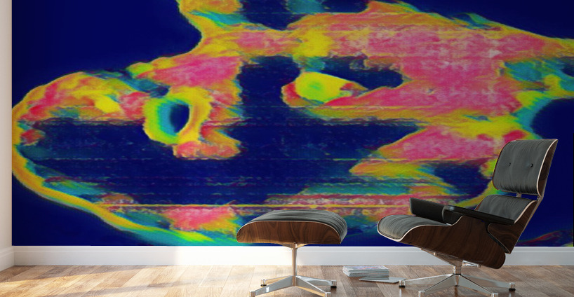 The Eye 9 Wall Murals