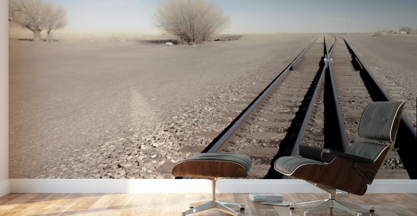 Two Tracks Wall Murals